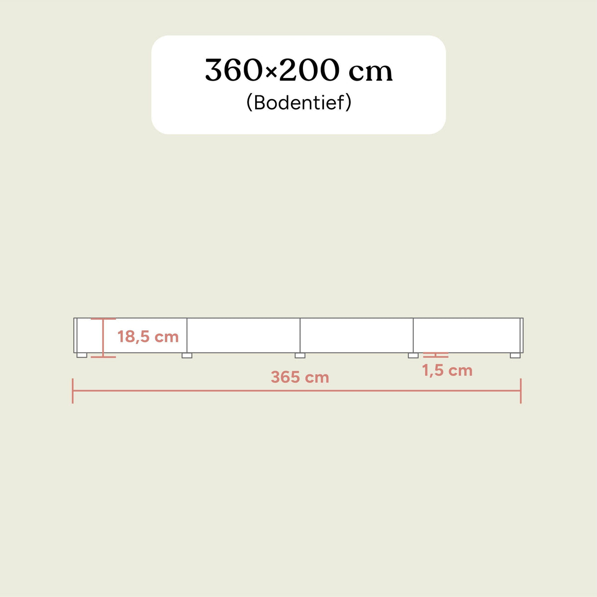 Familienbett Plano | Buche Natur | 360x200 cm