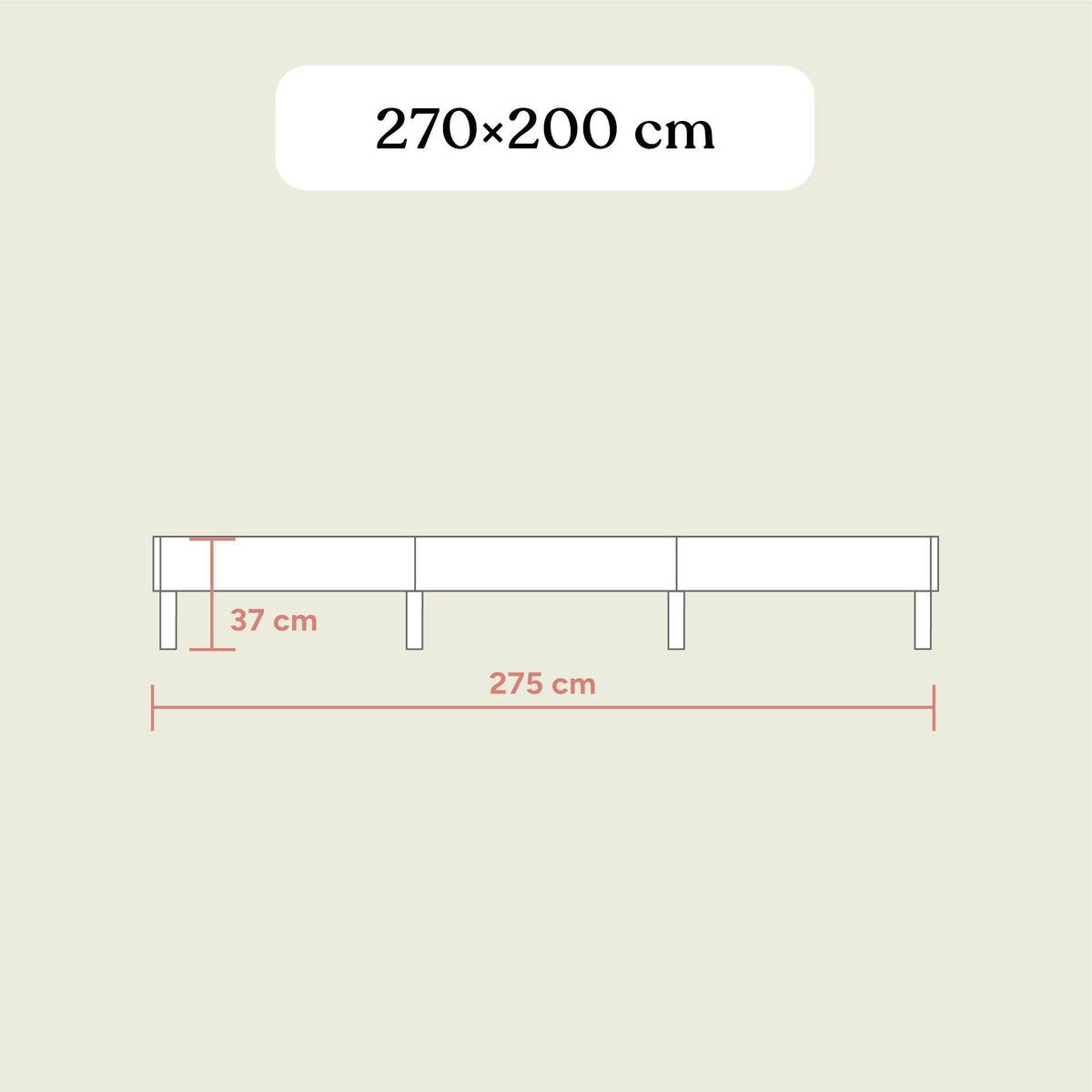 Familienbett Plano | Birke Transparent | 270x200 cm