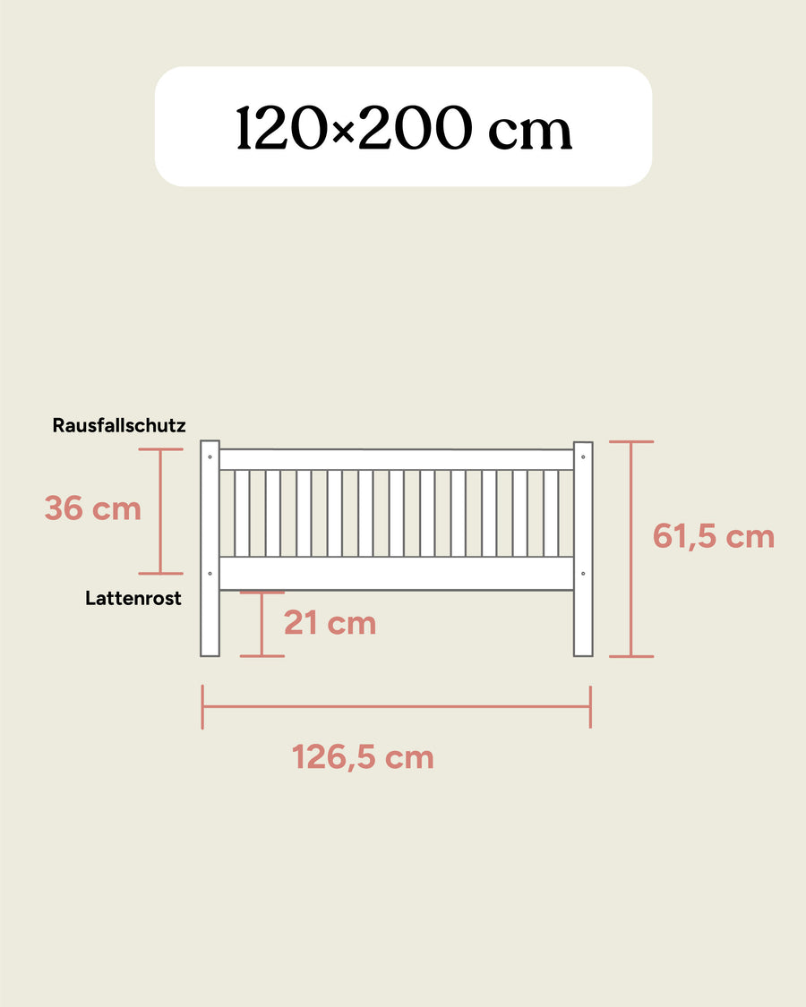 Kinderbett Livo  |  Buche Natur