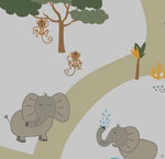 Safari
