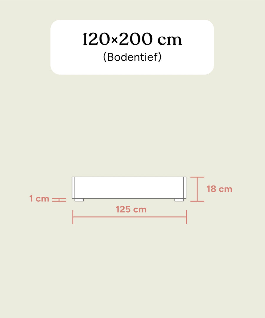 Größengrafik Jugendbett Plano bodentief von vorne 120x200 cm.
